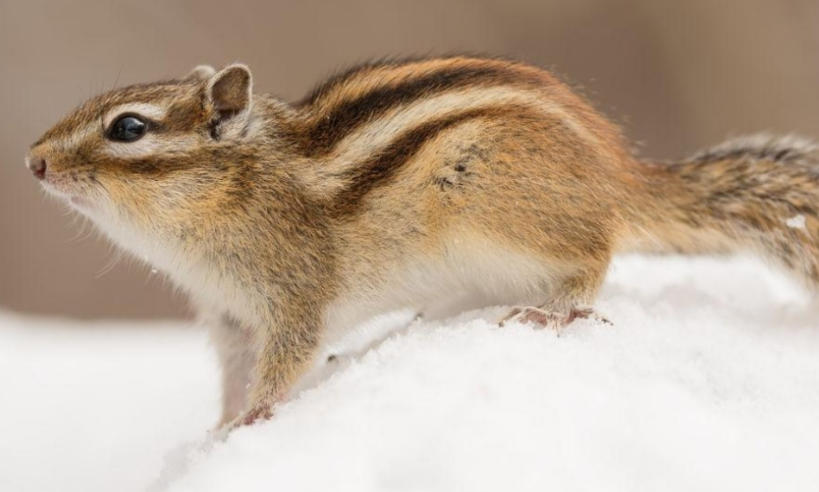 南京恒建顺建筑工程有限公司轮播图1