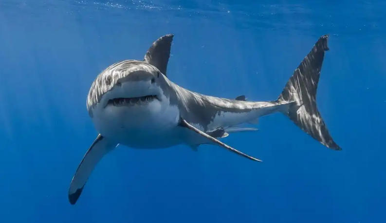 南京恒建顺建筑工程有限公司轮播图5