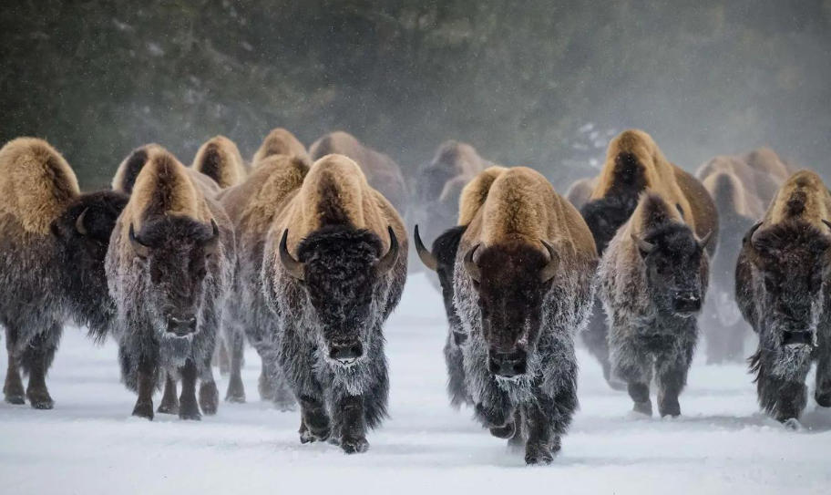 南京恒建顺建筑工程有限公司轮播图3